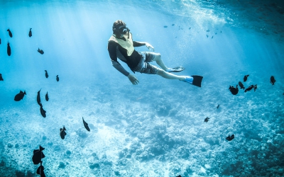 Illum architecto officiis unde quia