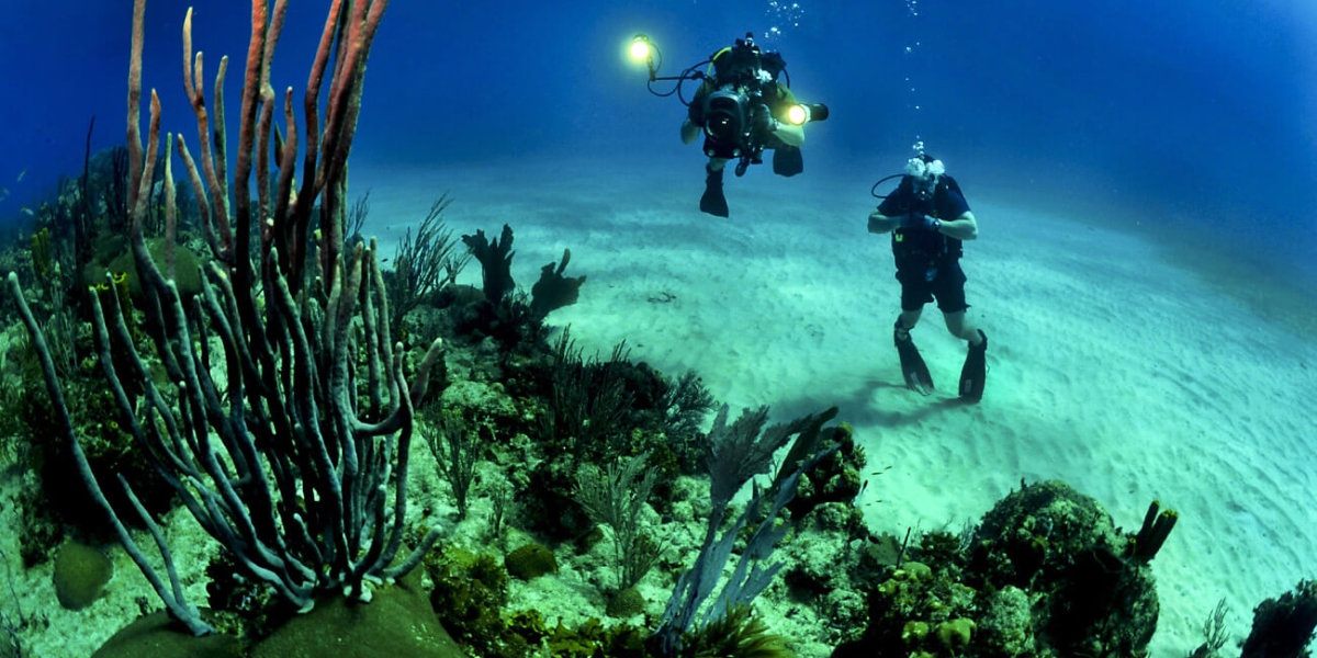 Cupiditate sed et deleniti cupiditate