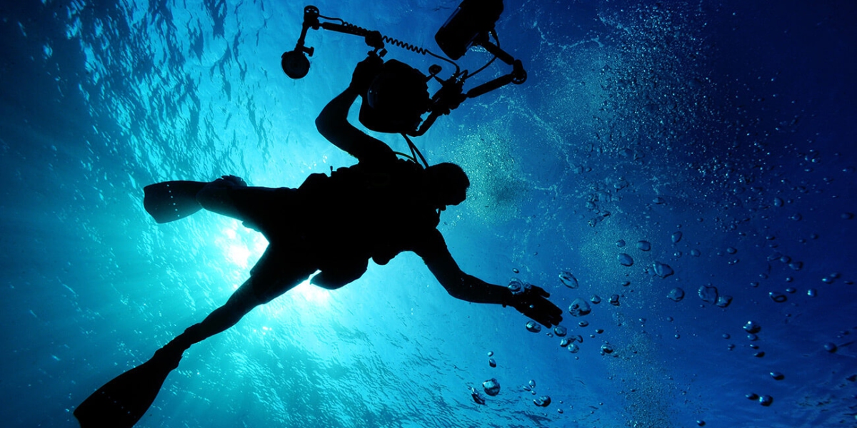 Delectus conse ctetur necessitati