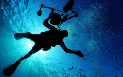 Delectus conse ctetur necessitati